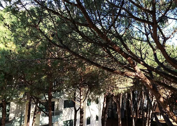 Apartamento Golem Apartments