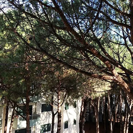 Apartmán Golem Apartments